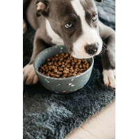 Hundenapf Bamboo Terrazzo Kentucky Grau