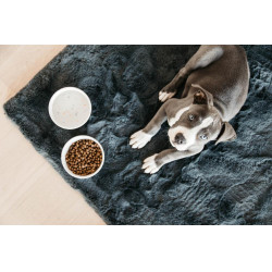Hundenapf Bamboo Terrazzo Kentucky