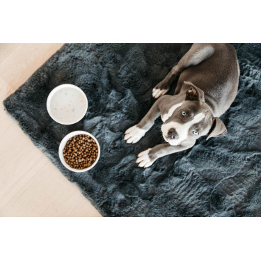 Hundenapf Bamboo Terrazzo Kentucky