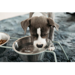 new Staubgrün Gr&uuml;n