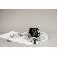 new Staubgrün Grün new Staubgrün Grün