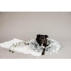 new Staubgrün Gr&uuml;n