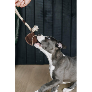 Hundespielzeug Baumwollseil Baseball Kentucky