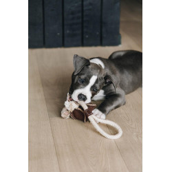 Hundespielzeug Baumwollseil Baseball Kentucky Braun