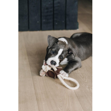 Hundespielzeug Baumwollseil Baseball Kentucky Hundespielzeug Baumwollseil Baseball Kentucky