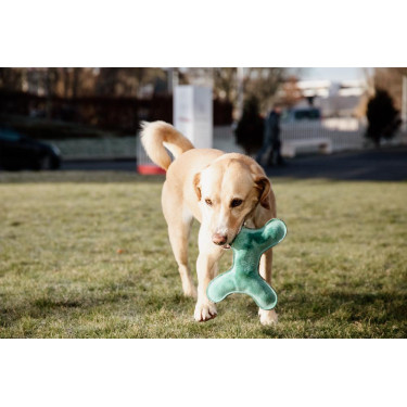 Hundespielzeug Pastel Bone Kentucky Smaragd Gr&uuml;n