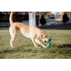 Hundespielzeug Pastel Bone Kentucky Smaragd Gr&uuml;n