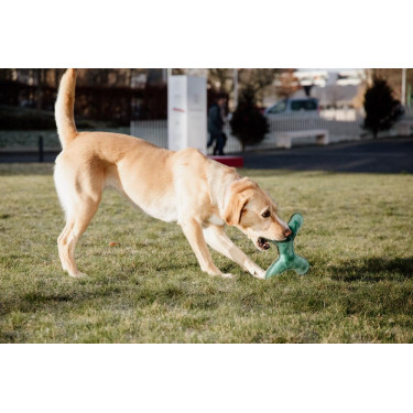 Hundespielzeug Pastel Bone Kentucky Smaragd Gr&uuml;n