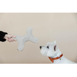 Hundespielzeug Pastel Bone Kentucky