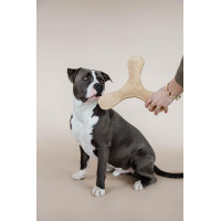 Hundespielzeug Pastell-Bumerang Kentucky Beige