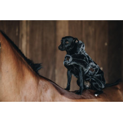 Hundejacke aus Kunstpelz Kentucky Grau Hundejacke aus Kunstpelz Kentucky Grau