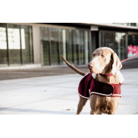 Hundemantel Heavy Fleece Kentucky Bordeaux