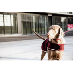 Hundemantel Heavy Fleece Kentucky Bordeaux