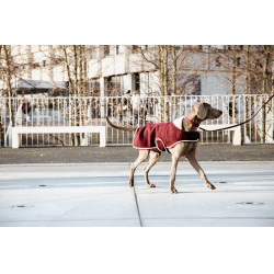 Hundemantel Heavy Fleece Kentucky Bordeaux