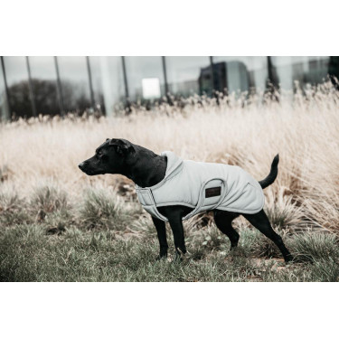 Hundemantel Kentucky reflektierend & wasserabweisend mit Bauchschutz