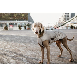 Hundemantel Kentucky reflektierend & wasserabweisend mit Bauchschutz Silber Hundemantel Kentucky reflektierend & wasserabweisend mit Bauchschutz Silber