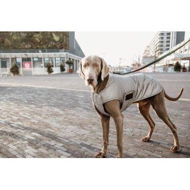 Hundemantel Kentucky reflektierend & wasserabweisend mit Bauchschutz Hundemantel Kentucky reflektierend & wasserabweisend mit Bauchschutz