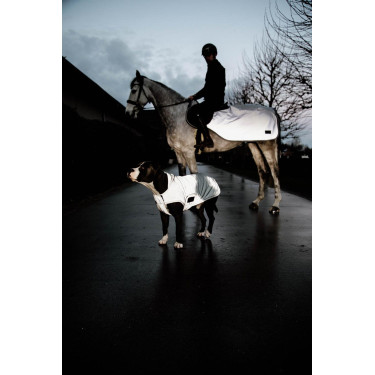 Hundemantel Kentucky reflektierend & wasserabweisend mit Bauchschutz Hundemantel Kentucky reflektierend & wasserabweisend mit Bauchschutz