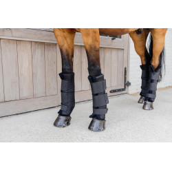Stable Boots Kentucky PROtect Classic Front Schwarz