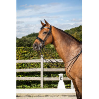 Trense Dy'on Reithalfter Large Vernie Dressurkollektion Rundleder Schwarz Trense Dy'on Reithalfter Large Vernie Dressurkollektion Rundleder Schwarz