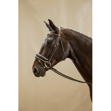 Trense Working by Dy'on Kombinierte Reithalfter Breit Lackiert Weiße Unterlegung Braun