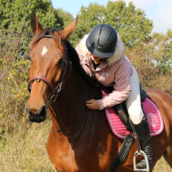 Satteldecke Rider Harcour Karembar Erröten Rosa Satteldecke Rider Harcour Karembar Erröten Rosa