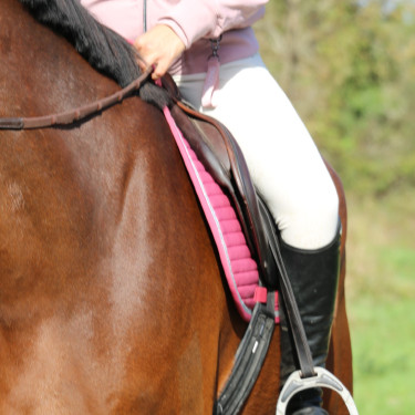 Satteldecke Rider Harcour Karembar Erröten Rosa Satteldecke Rider Harcour Karembar Erröten Rosa