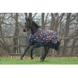 Highneck-Decke HKM Norwich 600D 100g Blau mit Sternenmuster Motive