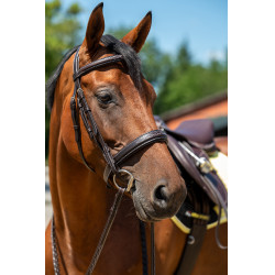 Trensenzaum Hunter 2 HKM Dunkelbraun