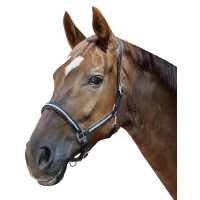 Lederhalfter Diamond HKM Schwarz Lederhalfter Diamond HKM Schwarz