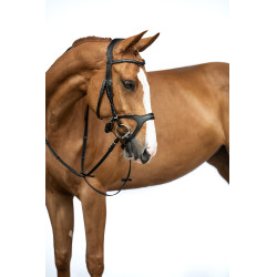 Anatomisches Sportzaumzeug HKM Schwarz