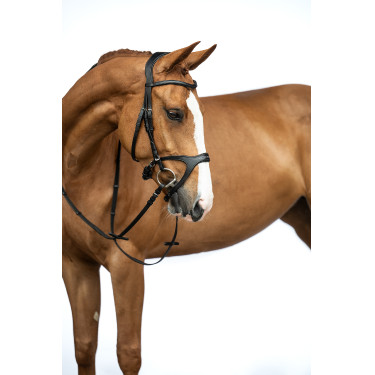 Anatomisches Sportzaumzeug HKM Schwarz