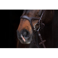 Anatomisches Sportzaumzeug HKM Braun