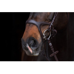 Anatomisches Sportzaumzeug HKM Schwarz