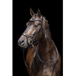 Anatomisches Sportzaumzeug HKM Schwarz