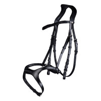 Anatomisches Sportzaumzeug HKM Schwarz