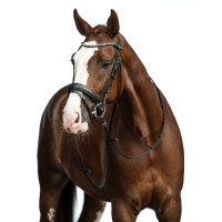 Bridon Bella HKM Schwarz Bridon Bella HKM Schwarz