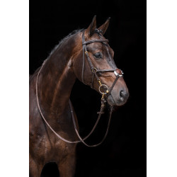 Verstärktes mexikanisches Reithalfter, Schaffell HKM Braun