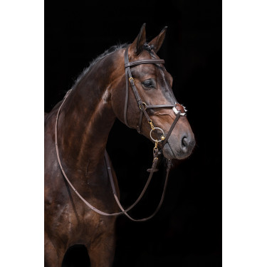 Verstärktes mexikanisches Reithalfter, Schaffell HKM Braun