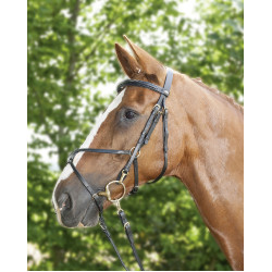 Verstärktes mexikanisches Reithalfter, Schaffell HKM Schwarz