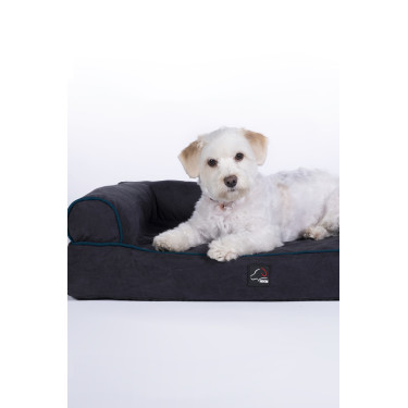 new Dunkelblau / Petrol new Dunkelblau / Petrol