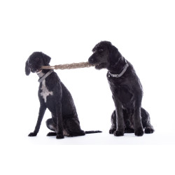 Hundespielzeug Buddy Knot Bone HKM Hundespielzeug Buddy Knot Bone HKM