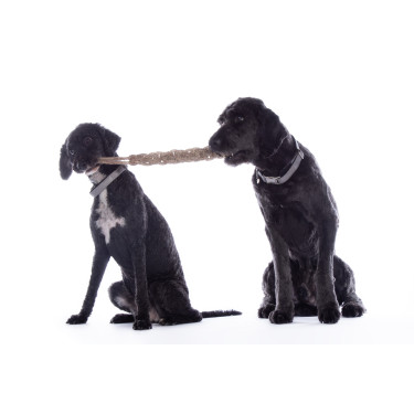 Hundespielzeug Buddy Knot Bone HKM Hundespielzeug Buddy Knot Bone HKM