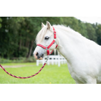 Longe Aymee mit Karabinerhaken HKM Rot