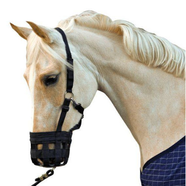 Maulkorb-Halfter HKM Schwarz