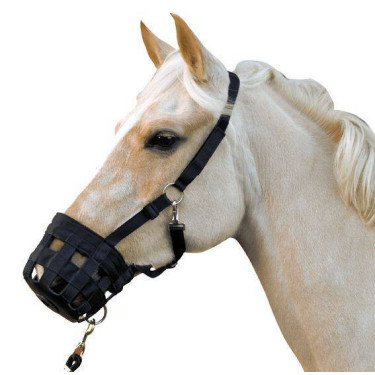 Maulkorb-Halfter HKM Schwarz