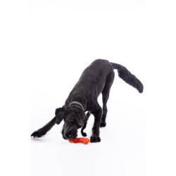 Hundespielzeug Buddy Bone III Naturkautschuk HKM Orange Hundespielzeug Buddy Bone III Naturkautschuk HKM Orange