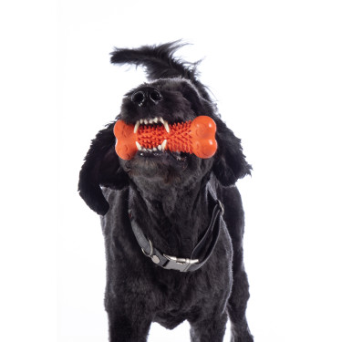 Hundespielzeug Buddy Bone III Naturkautschuk HKM Hundespielzeug Buddy Bone III Naturkautschuk HKM