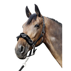 Nylon-Kappzaum HKM mit Polsterung Nylon-Kappzaum HKM mit Polsterung