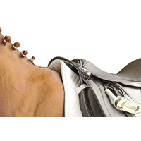 Haltegurt HKM für Sattel Schwarz